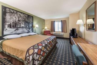 Super 8 by Wyndham Greenville - Greenville - 2