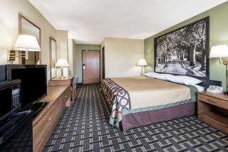 Super 8 by Wyndham Greenville - Greenville - 8