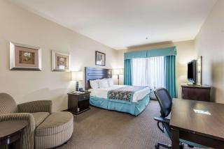 Wingate by Wyndham New Braunfels - New Braunfels - 4