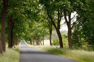 Landhotel Zum Pottkuchen - 5