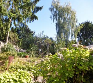 Schwalbennest - Geesthacht - 7