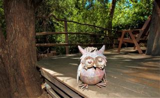 Black Cockatoo Lodge - Nannup - 2