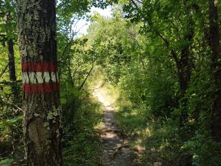 Jadranovo - Jadranovo - 8