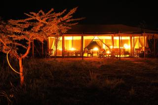 Basecamp Wilderness - Naboisho - 8