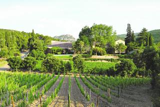 Château Haut Gléon - Villesèque-des-Corbières - 0