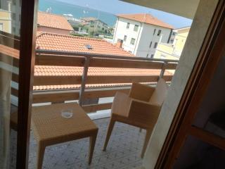 Hotel Michela - Marina di Massa - 2