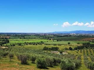 Agriturismo La Fonte - 1