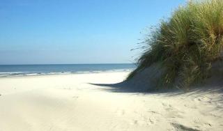 Wittegrijzeduinen - Hollum - 5