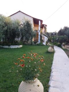 Petros Studios - 2