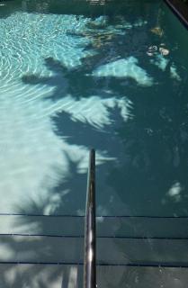 La Te Da - Adult Only, 21 or older - Key West - 8