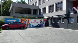 Penzión Inštitút - 1