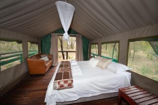 Ndzhaka Tented Camp - Manyeleti Game Reserve - 6
