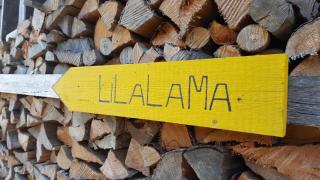 Apartment Lilalama - 6