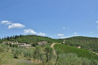 Vinaio a Montefiorile - San Sano - 4