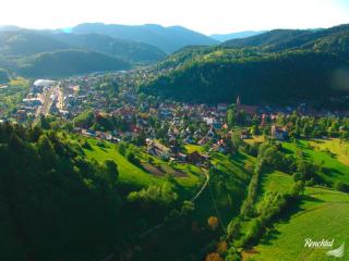 Hotel Restaurant Rebstock - Oppenau - 1