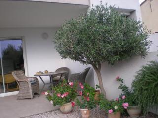 la scribote - Marseillan - 0