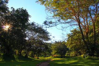 Eden Estates & Resort - 4