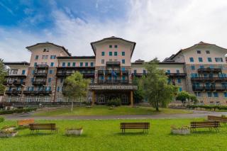 Residence Grand Hotel Carezza - Nova Levante - 9