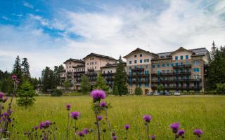 Residence Grand Hotel Carezza - Welschnofen - 5