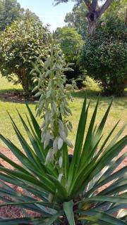 Fruits of Vienna B&B - 2