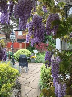 Best Western Annesley House Hotel - Norwich - 4