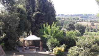 Il Moreto - Casale Marittimo - 3