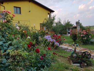 Agriturismo La Stradaccia - Ginestreto - 9