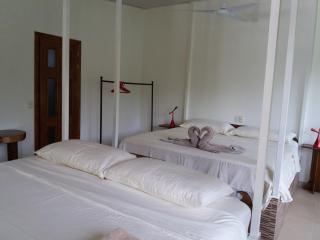 Casa Aba Matapalo - 2