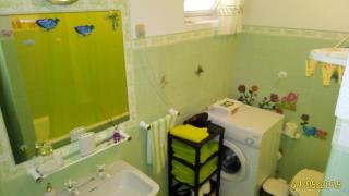 Sunny flat In Machico city - Machico - 1
