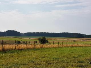 B&B La Chabetaine - Morhet - 4