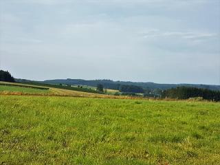 B&B La Chabetaine - Morhet - 3