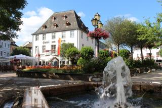 Hotel Zum Stern - Bad Neuenahr-Ahrweiler - 9