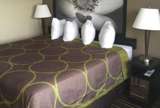 Super 8 by Wyndham Florence - Florence - 9