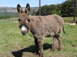Cabane des Guernazelles - 4