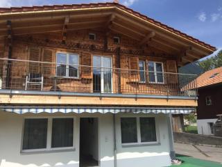 Swiss Chalet Holidays Ringgenberg - Ringgenberg - 4