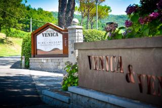 Venica & Venica Wine Resort - Dolegna del Collio - 9