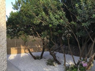 "Villa Adele" - Olbia - 6
