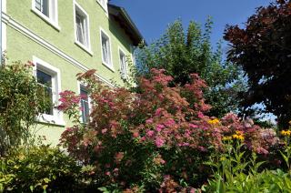 Landhaus Bruckner - Bad Alexandersbad - 9