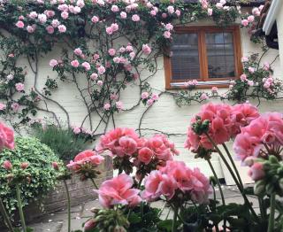 Handywater Cottages - Henley on Thames - 4