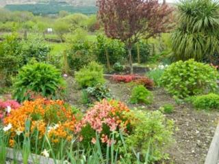 Poppyfield House, Kenmare - Kenmare - 3