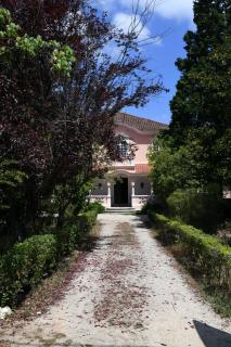 Quinta da Fogueira - Anadia - 2