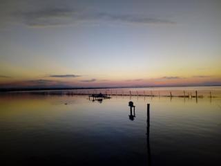 B&B La Felicità - Lesina - 9