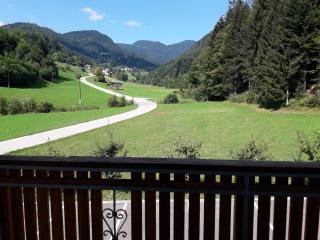 Simnovi apartmaji - surrounded by nature - Kamnik - 0