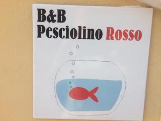 B&B PESCIOLINO ROSSO - Gallipoli - 3