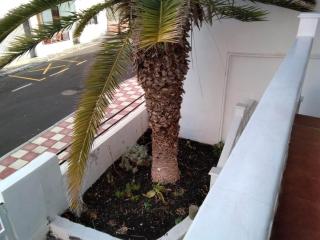 Casa Restinga - 4