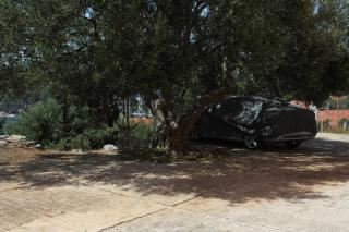 Apartments with parking space Bozava, Dugi otok - 8124 - 8