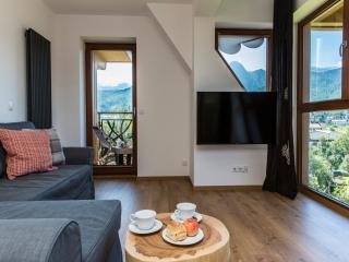 Polana Szymoszkowa Ski Resort - Mountain View Apartments - Zakopane - 4