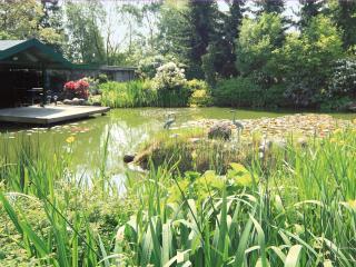 Hotel-Café Kampe - Norderstedt - 1