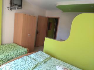 Studio Milojević Sokobanja - Soko Banja - 8