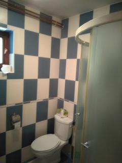 Studio Milojević Sokobanja - Soko Banja - 3